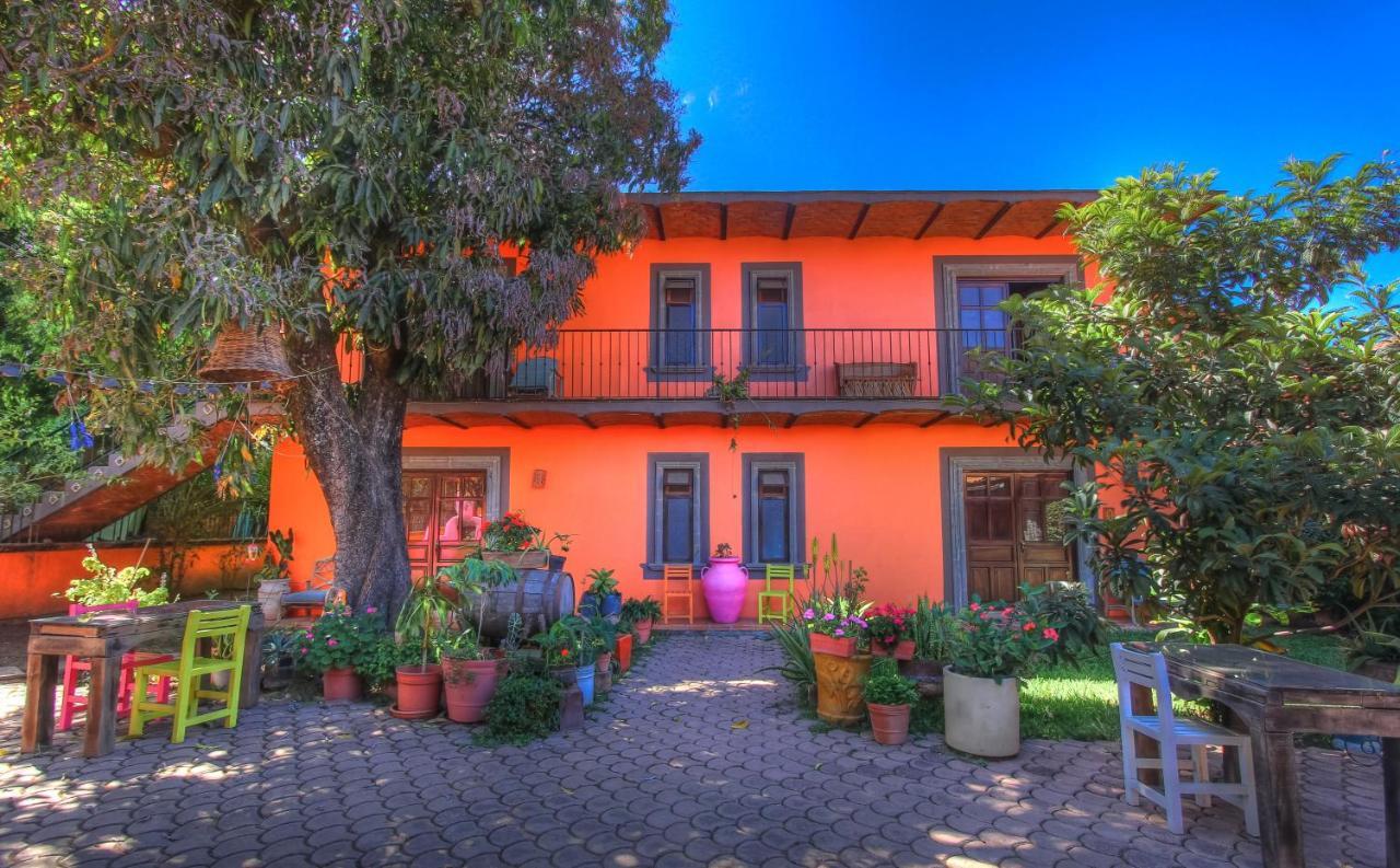 Santa Lucia Hotel Boutique Mascota Buitenkant foto